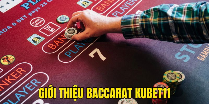 Sơ lược thông tin về baccarat Kubet11